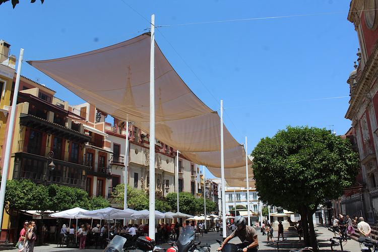 Sur la Plaza del Salvador, Sevilla