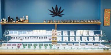 Cannabis
