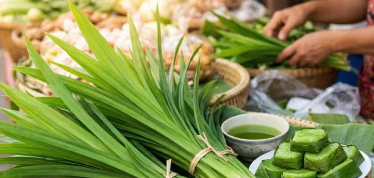 Herbes thaïes 