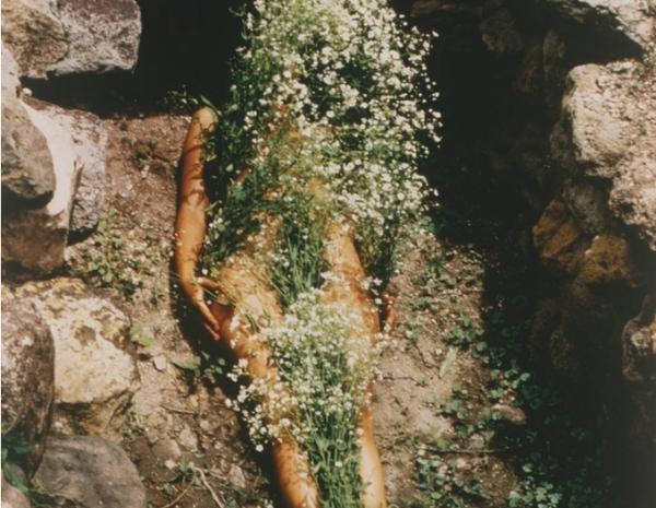 Image de l'exposition dédiée à Ana Mendieta