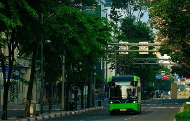Ho Chi Minh Ville : vers une métropole verte ?