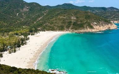 plage-hong-kong-ombre-arbre
