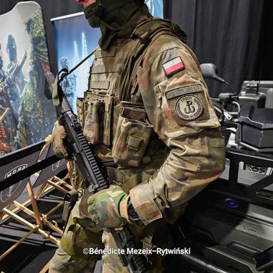 Militaire polonais arme guerre Ukraine
