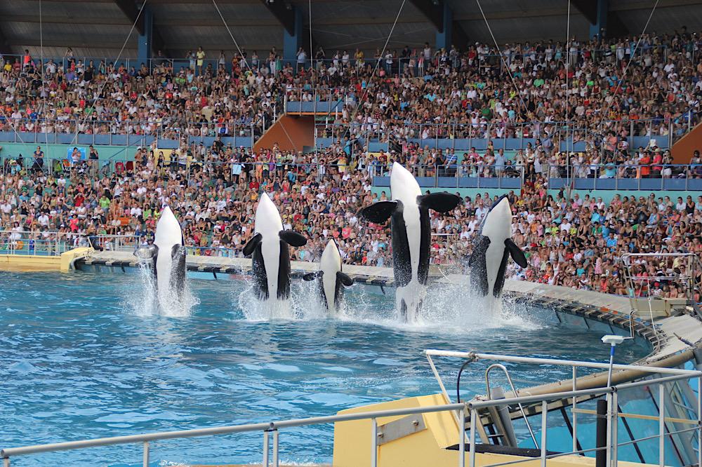 Marineland Antibes 