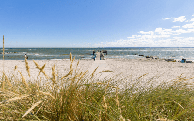 Plage de la Mer Baltique