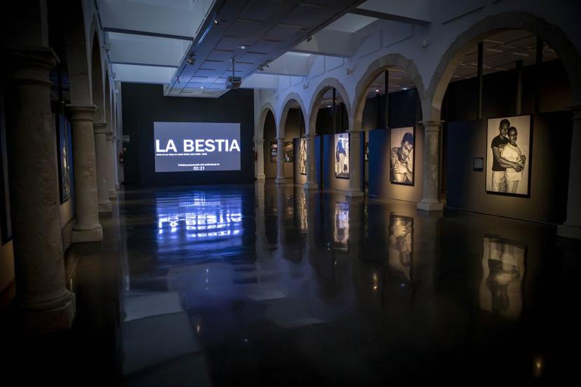 Image de l’exposition «La Bestia» de Isabel Muñoz dans la Sala AFAL du CAF. Photo de Chema Artero-CAF.