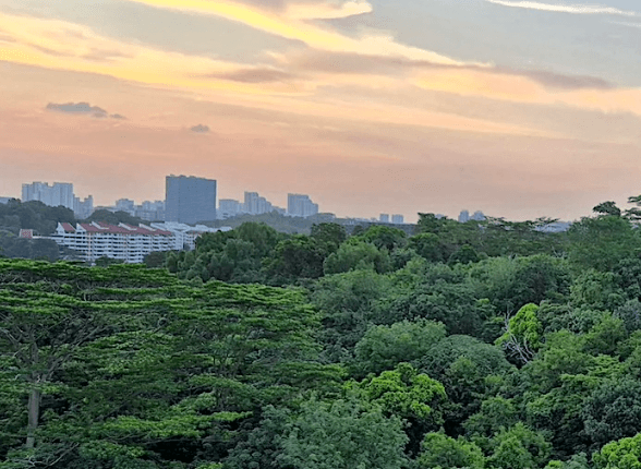 maju-forest-singapour
