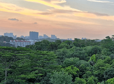 maju-forest-singapour
