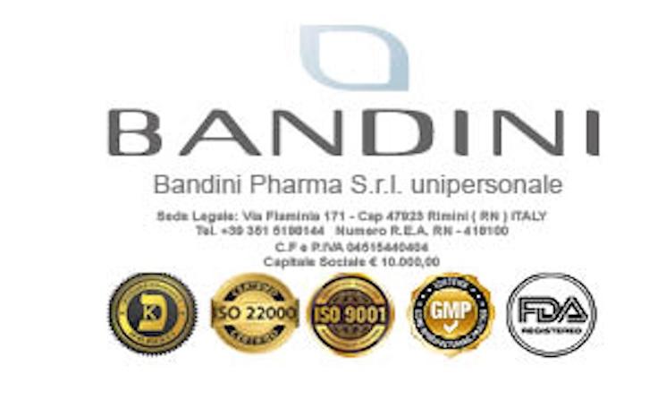 image d'un logo de bandini