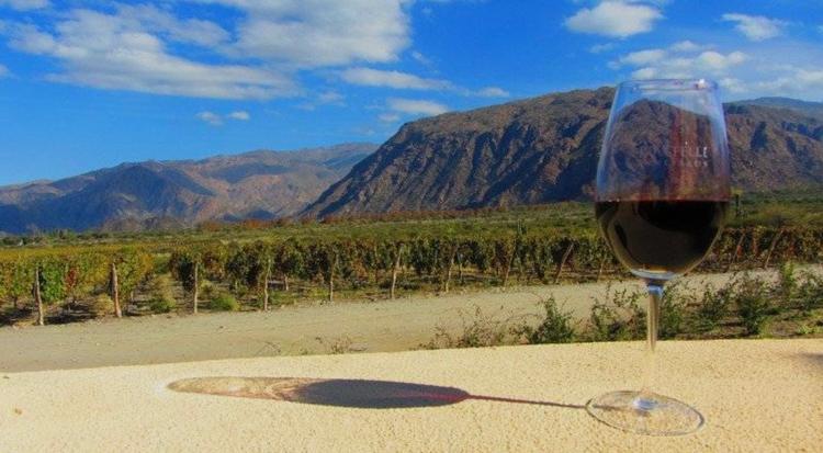 Vin Argentine