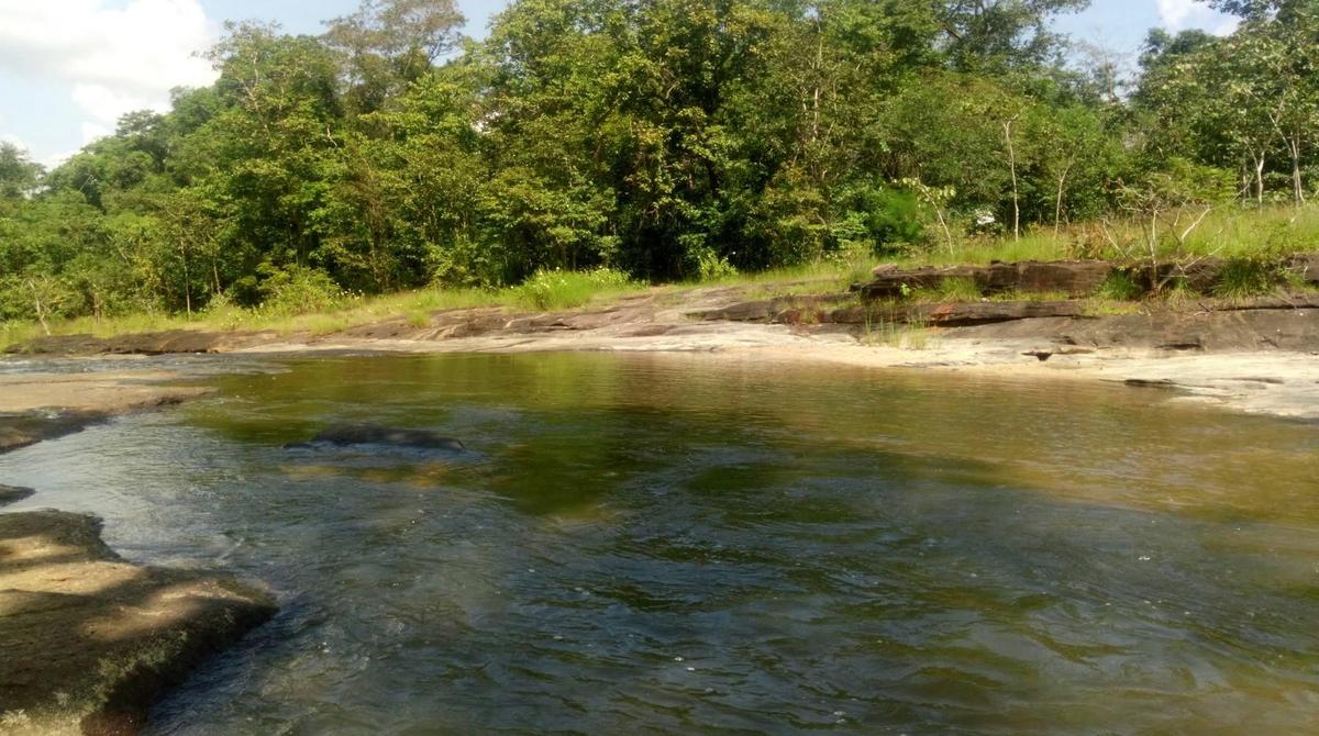 Parc éco tourisme Thaïlande 