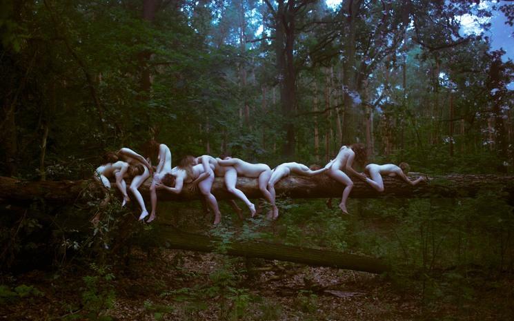 Photo de Jaqueline Louan représentant des femmes nues sur un tronc d'arbre