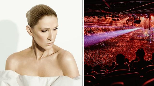 celine dion 