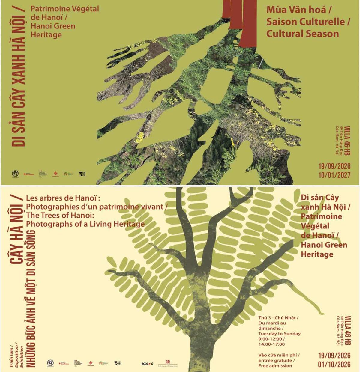 hanoi patrimoine vegetal histoire vietnam