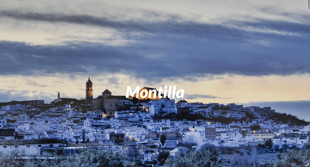 https://acevin.es/montilla