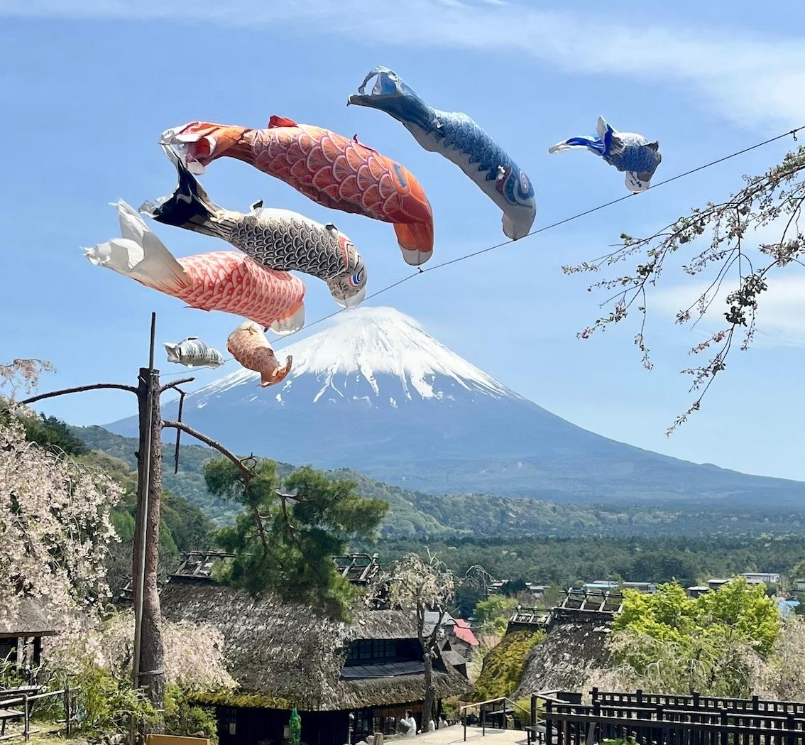 Koinobori au-dessus du Mont Fuji - Mai 2026 @Catherine Gruère