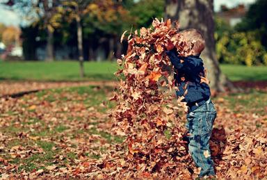 automne_octobre_copenhague