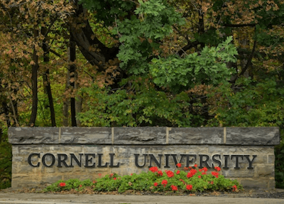 cornelle-universite