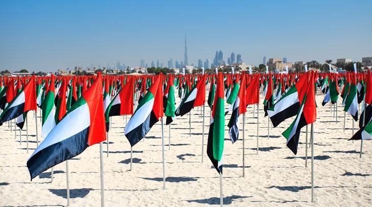 flag day