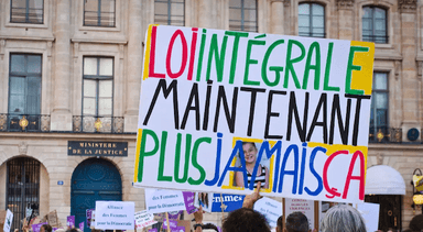 la loi integrale en passe d'être votée en France 