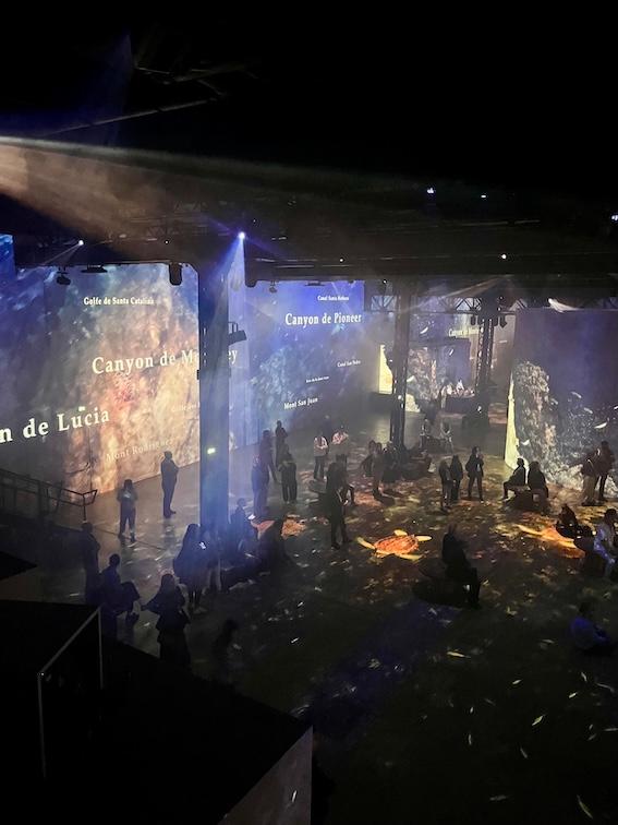 Une grande salle avec des projections sur les murs et le sol