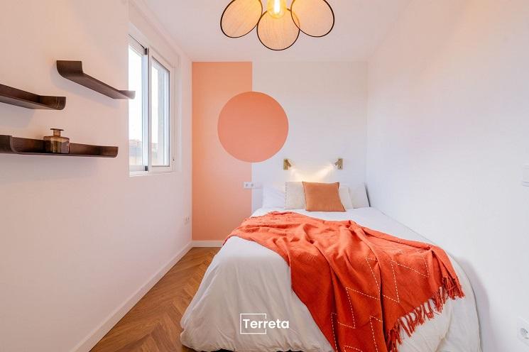 renovation terreta spain