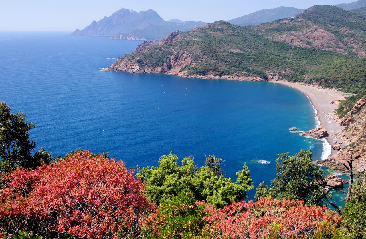 La Corse à Singapour