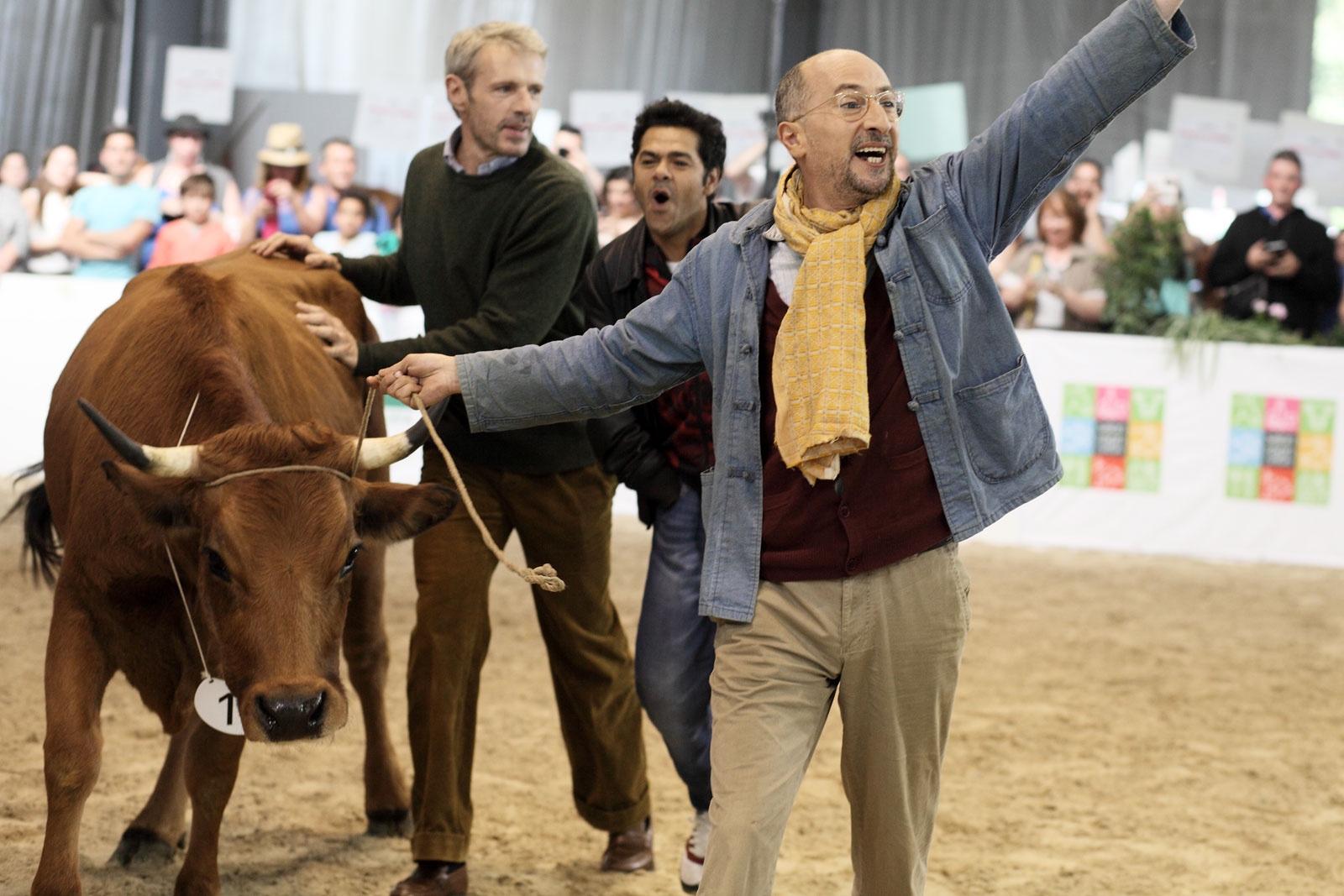 Film, La, Vache, London, festival, gala, soirée, cinéma, français, communauté