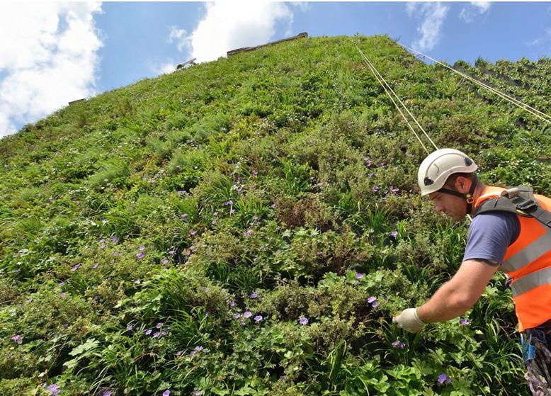 green, wall, hotel Rubens, londres, mur, végétal, ville, verte, Roof, Gary, Grant, Dulwish, Picture, Gallery, National,  expat, expatriés, français, francophones, french, communauté