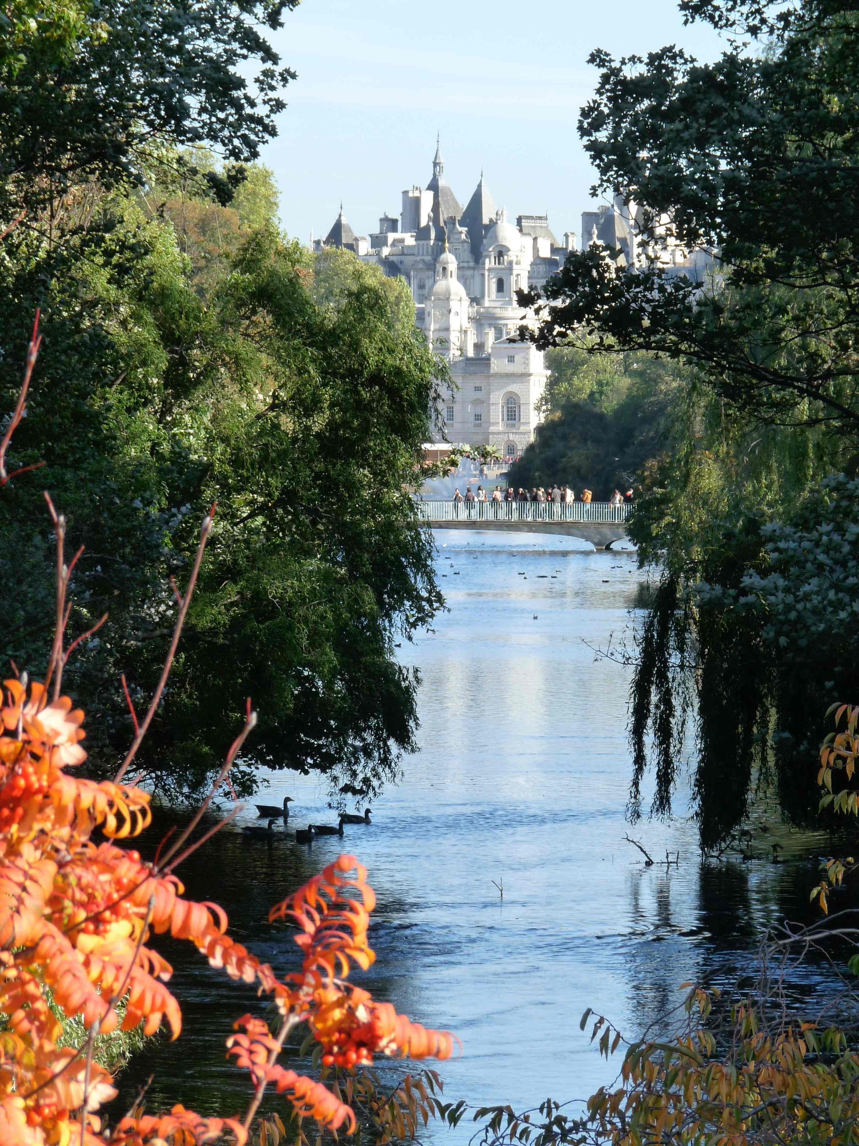 Parc, Londres, panier, pique-nique