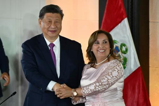 Un homme et une femme se serrent la main devant un drapeau