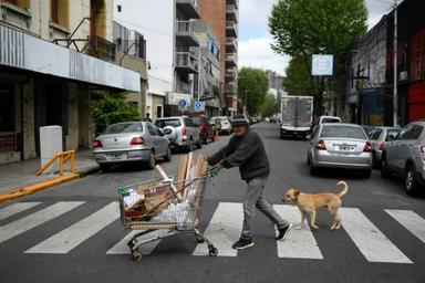 personne avec ses chiens qui traversent un passage piéton