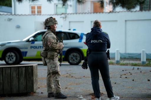 Un soldat et un policier armés