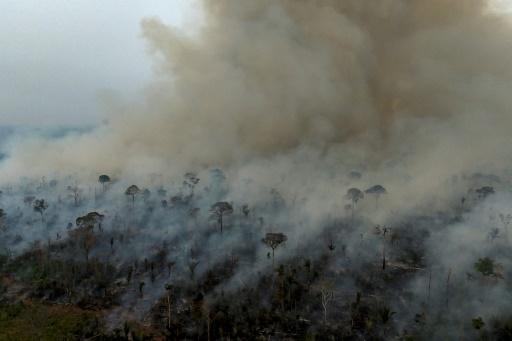 Effet du réchauffement climatique