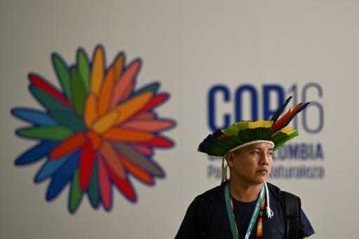 Une personnes devant le logo de la COP 16