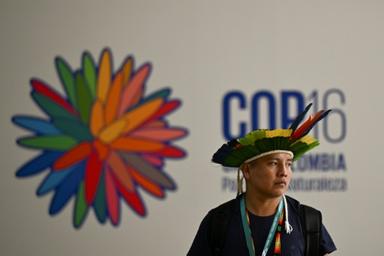 Une personnes devant le logo de la COP 16