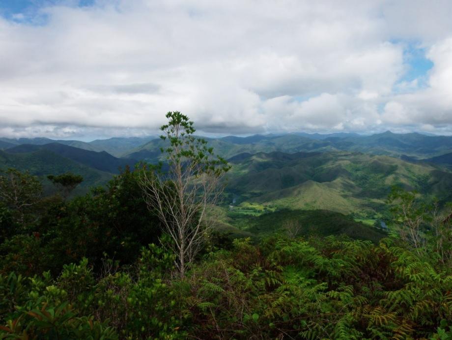 VALEUR AJOUTEE – Une autre voie possible pour la Nouvelle-Calédonie
