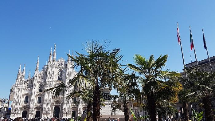 duomo-palmier-milan