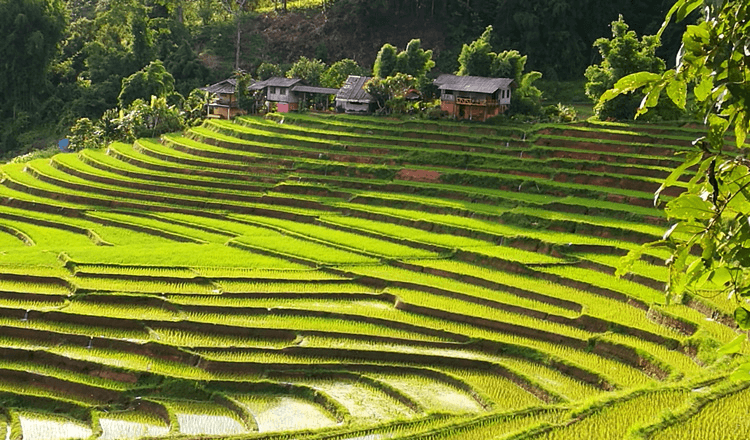 Thaïlande Autrement, spécialiste de circuits privés sur-mesure et responsables