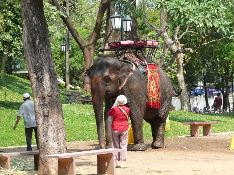 Sambo wat phnom