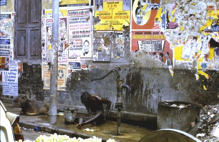 Ce vagabond n’est guère concerné par l’agitation politique