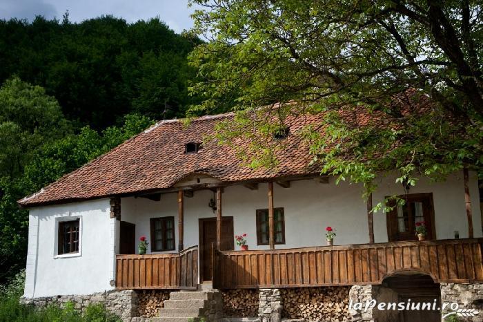 valea-zalanului-pension-prince-charles