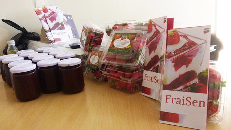 Fraises bio Sénégal