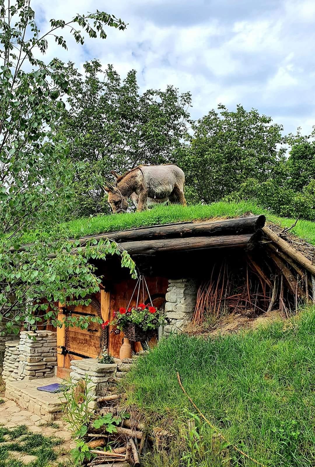 valea-celor-doisprazece-maison-hobbit-hebergement-insolite-roumanie