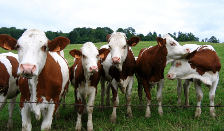 shanghai-sorties-novembre-2018