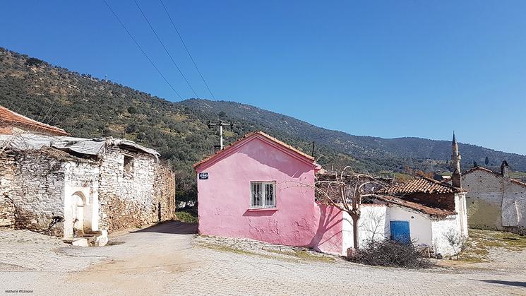 Bayındır région égéenne ville fleurs