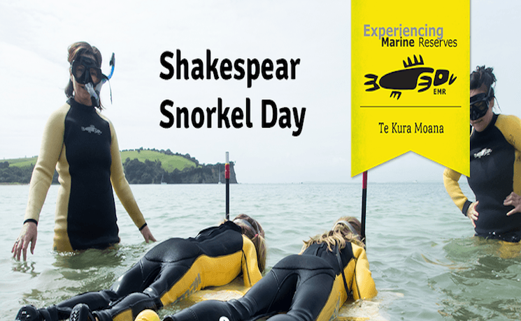 Shakespear Snorkel Day Auckland Freeweek