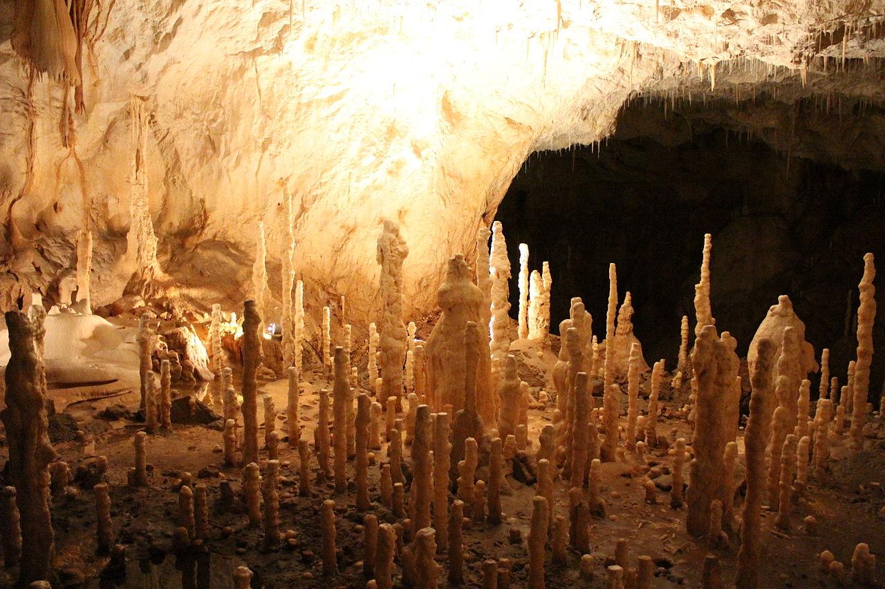 grotte-des-ours-roumanie