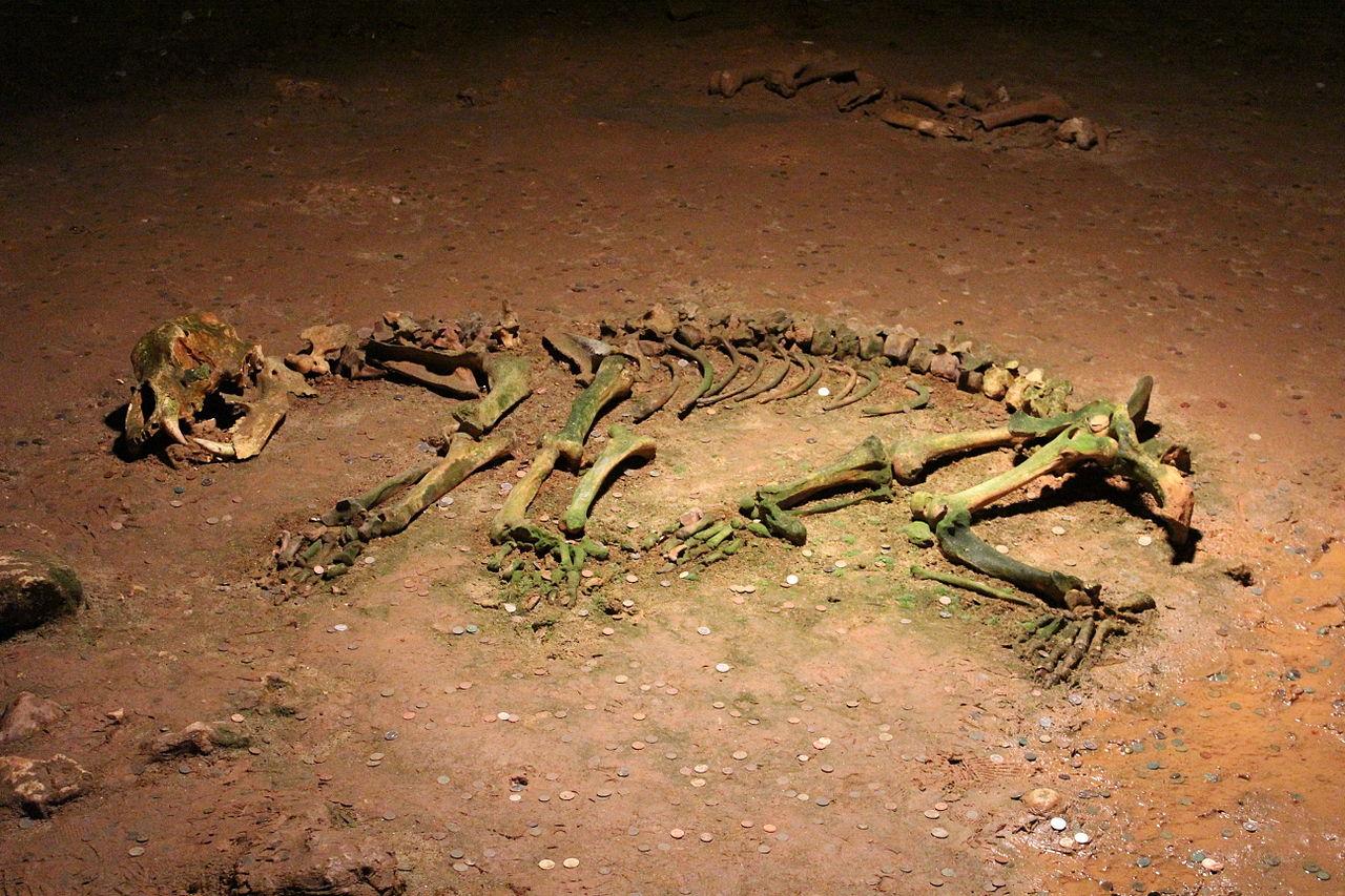 grotte-des-ours-roumanie