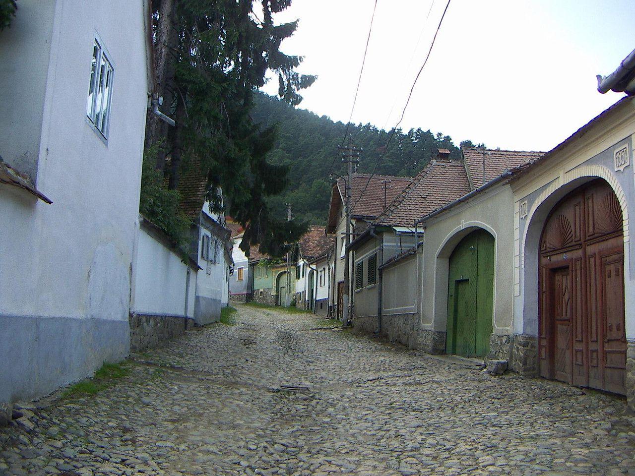 rasinari-sibiu-village-transylvanie-cioran